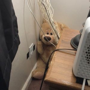 Meet your Posher, Barbra